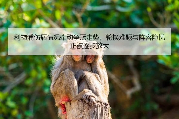 利物浦伤病情况牵动争冠走势，轮换难题与阵容隐忧正被逐步放大